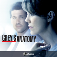 Grey's Anatomy - Grey's Anatomy, Staffel 11 artwork