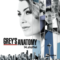Grey's Anatomy - Schadensbegrenzung artwork