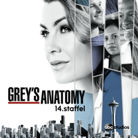 Grey's Anatomy - Seelenqualen artwork