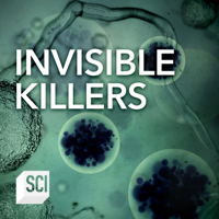 Invisible Killers - Invisible Killers, Season 1 artwork