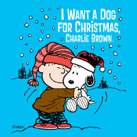 Peanuts' Charlie Brown - I Want a Dog for Christmas, Charlie Brown artwork