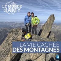 Télécharger Le monde de Jamy : La vie cachée des montagnes Episode 1