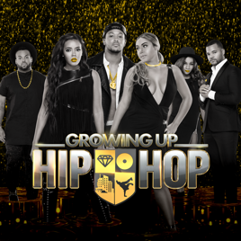 growing up hip hop new york epi