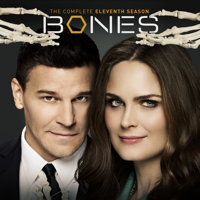 Bones - Bones, Staffel 11 artwork