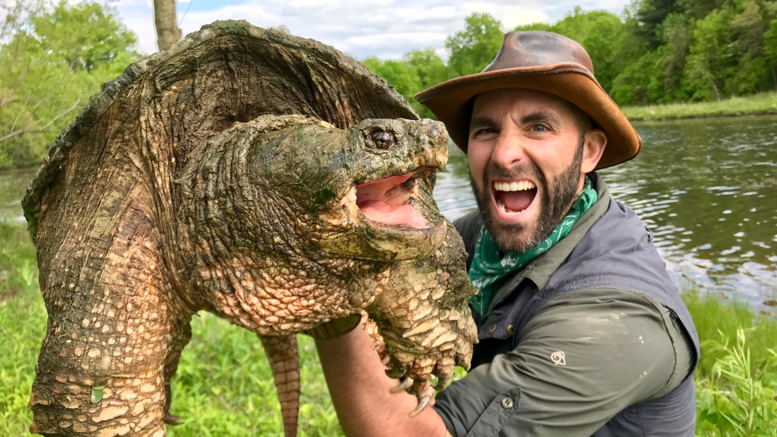 Legendary Turtle of Texas - Coyote Peterson: Brave the Wild | Apple TV