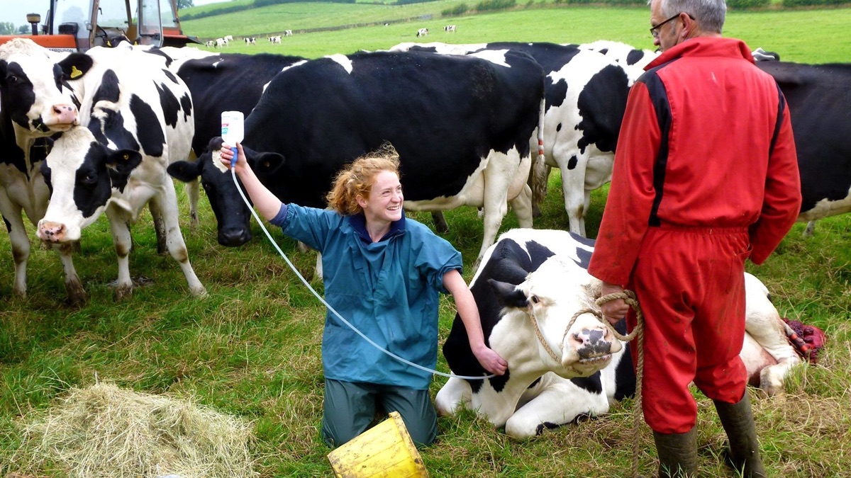 It's a Vet's Life Apple TV (AU)