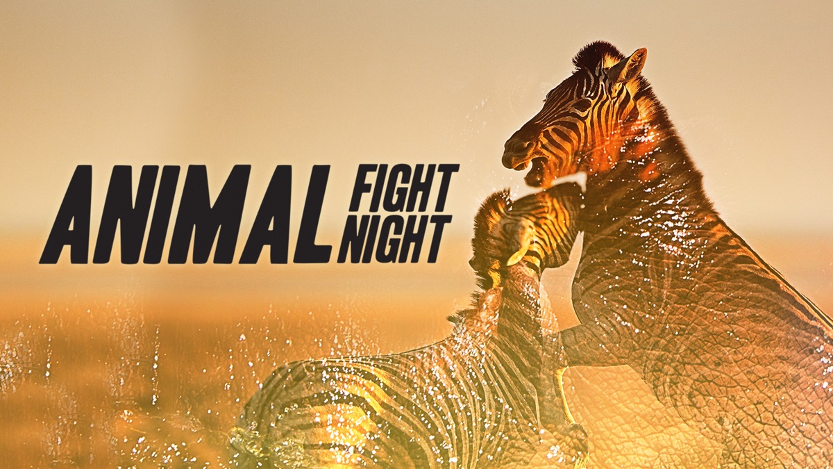 Animal Fight Night Apple Tv