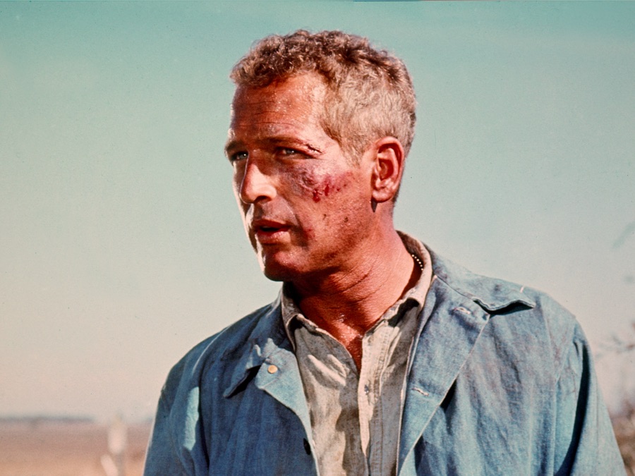 Cool Hand Luke | Apple TV