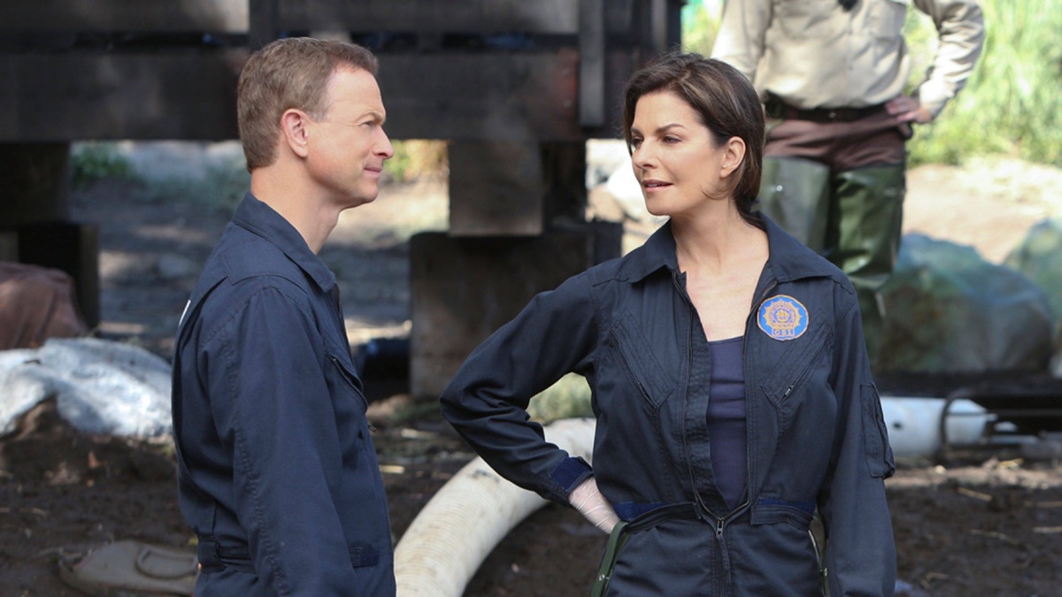 タートル池のプリンセス Csi ニューヨーク シーズン9 エピソード6 Apple Tv 日本